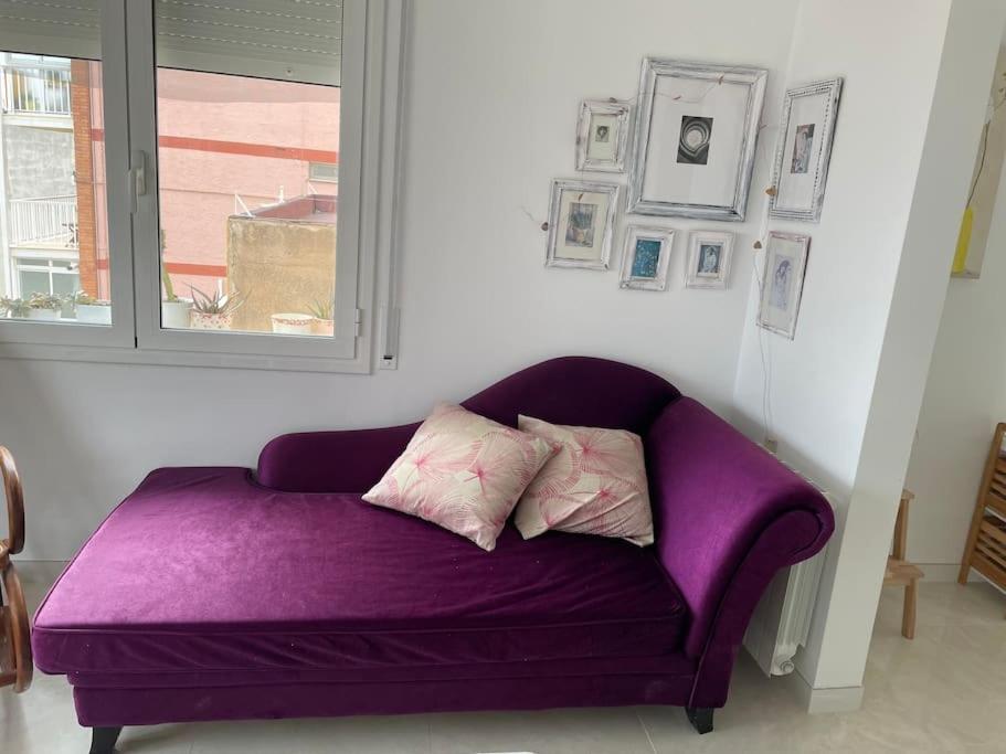 Cute And Comfortable -c&c-hutt-010593 Tarragona
