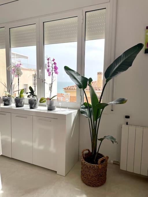 Apartamento Cute And Comfortable -c&c-hutt-010593