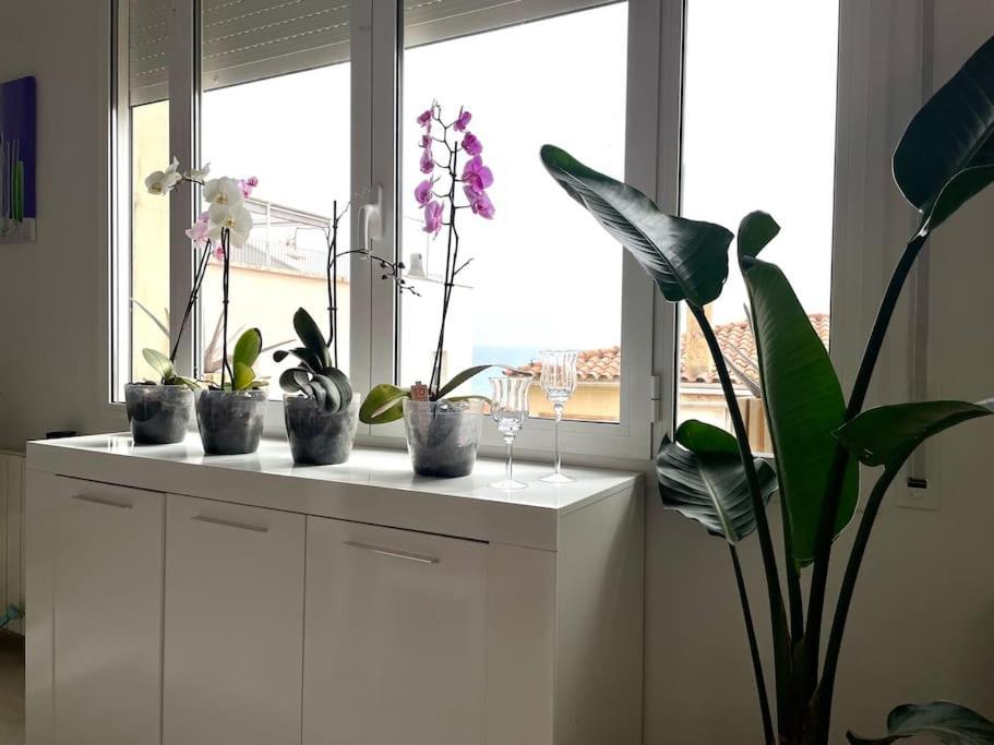 Apartamento Cute And Comfortable -c&c-hutt-010593